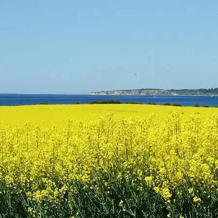 Vakantiehuis Holiday Stenbaekvej D- 4456 Nordenbro Vesteregn